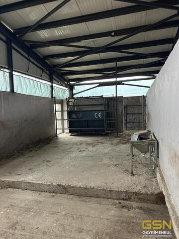 26-GSN GAYRİMENKUL'DEN AVRUPA STANDARTLARINDA RUHSATLI BESİÇİFTLİĞİ